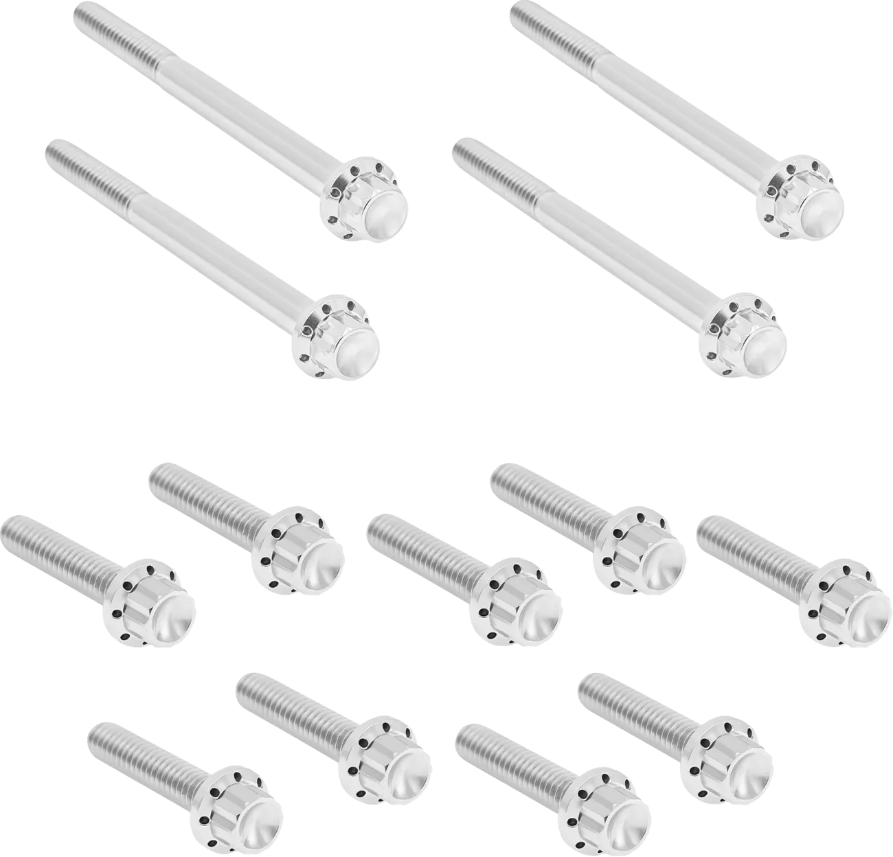 Outer Primary Cover Titanium 12-Point Bolt Kit