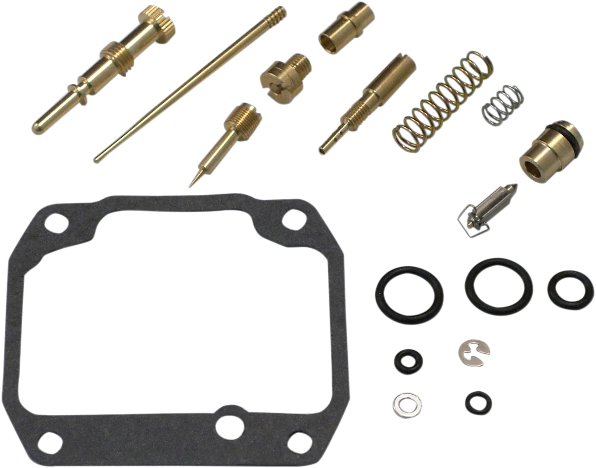 Carburetor Repair Kit