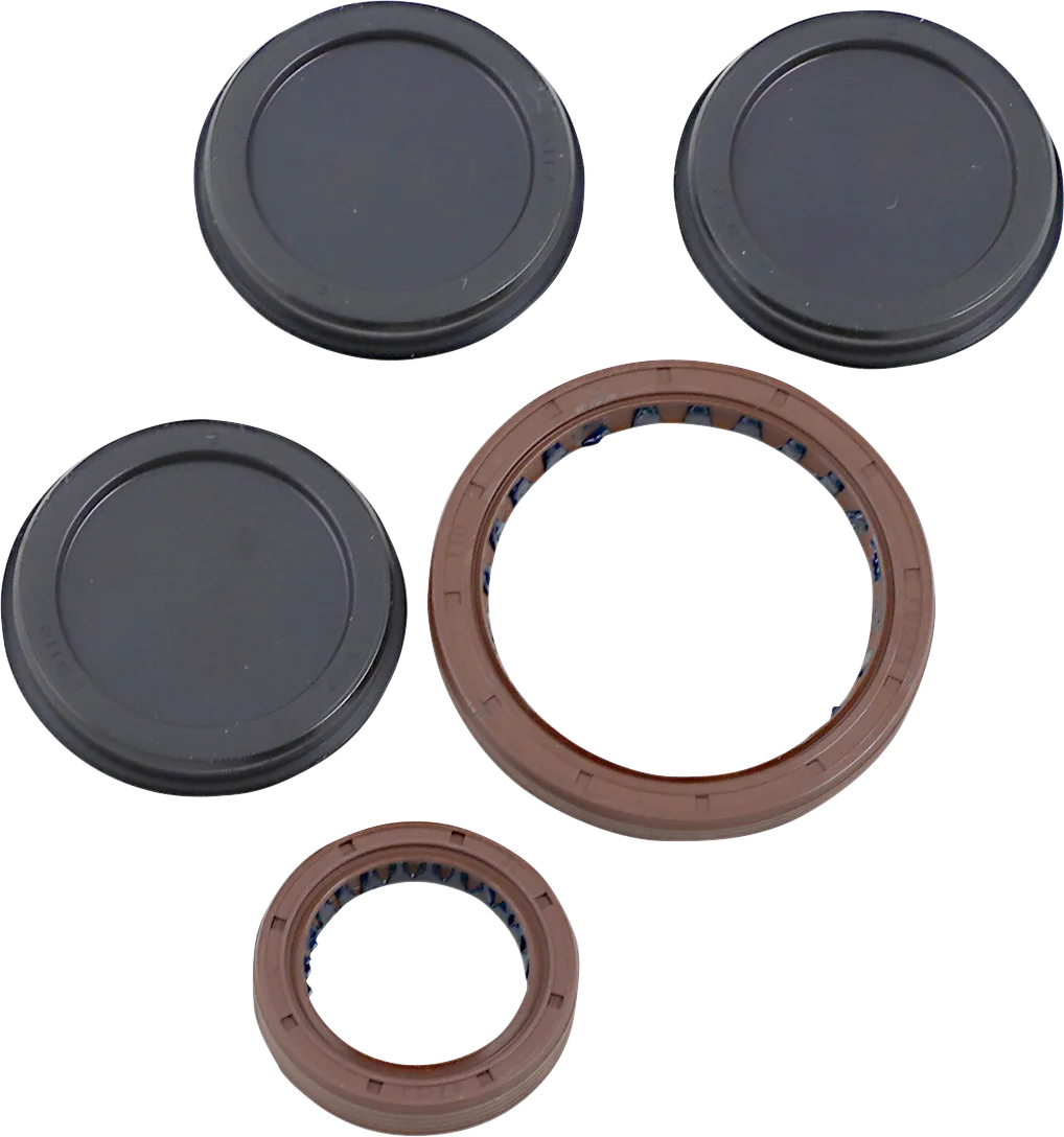 Oil Seal Kit