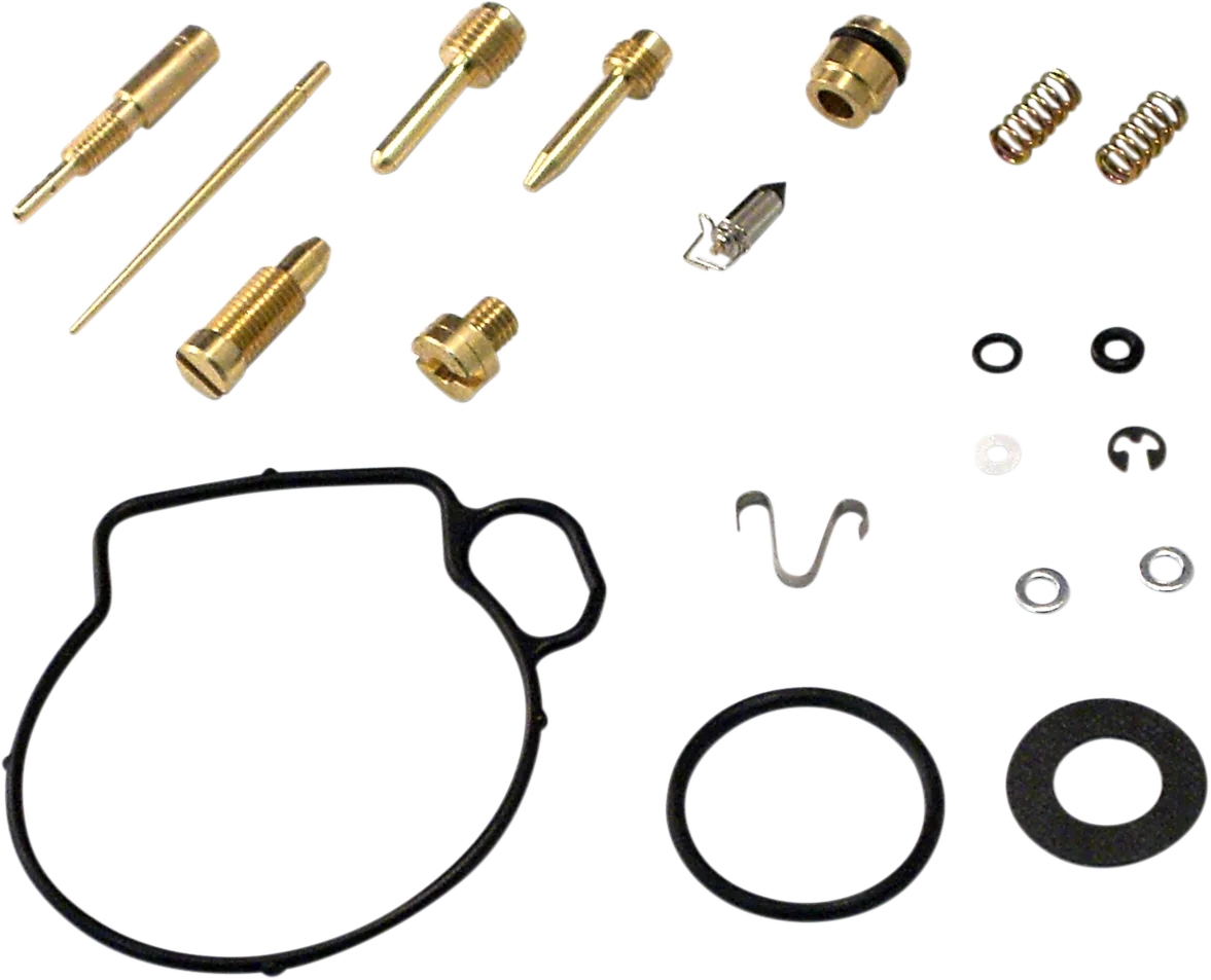 Carburetor Repair Kit