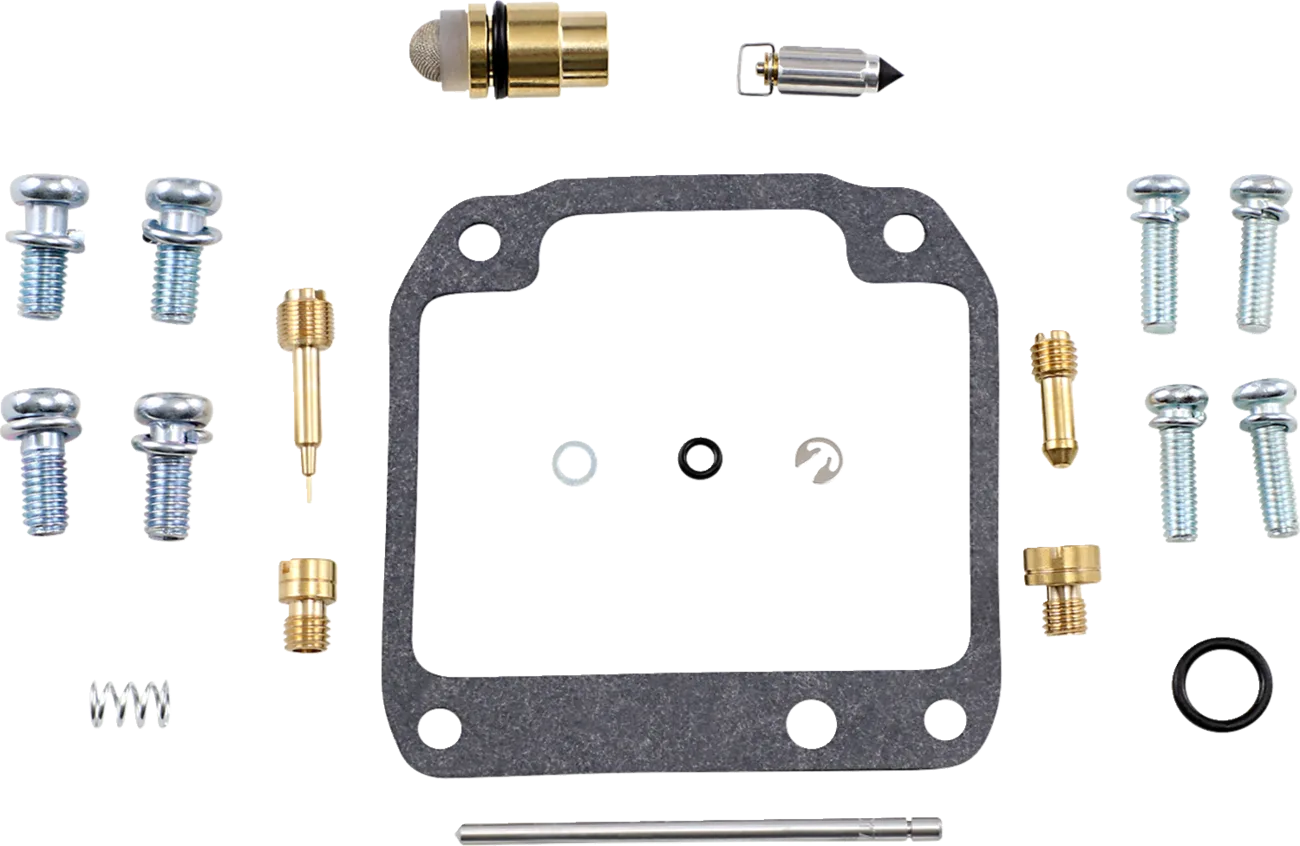 Carburetor Repair Kit