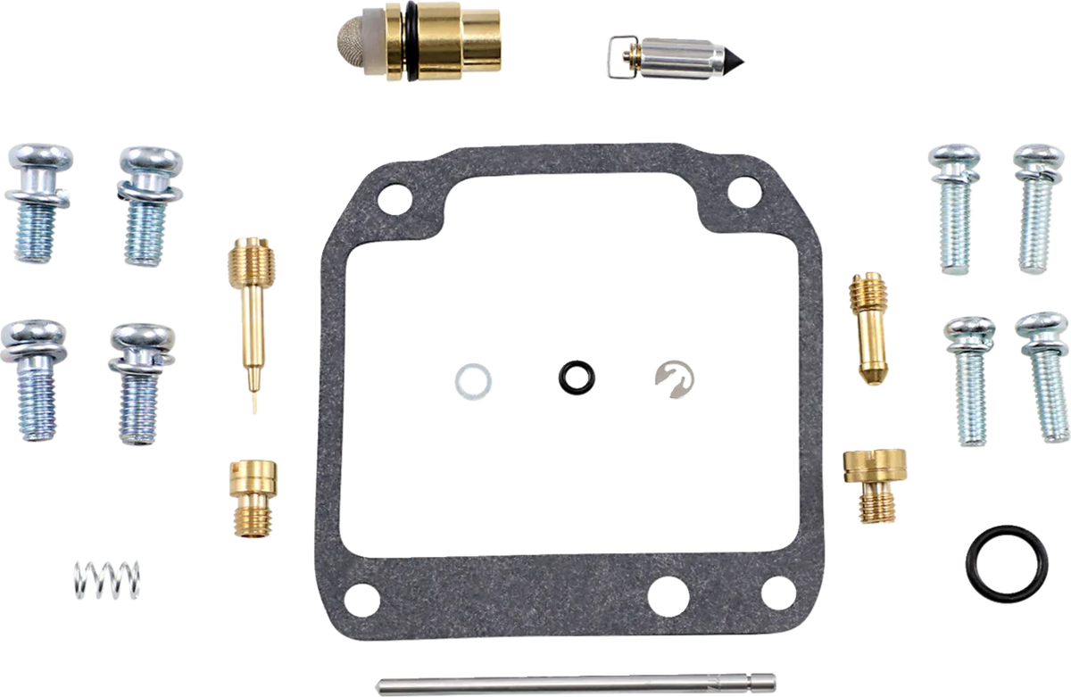 Carburetor Repair Kit