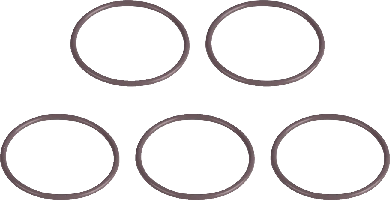 Starter O-Ring