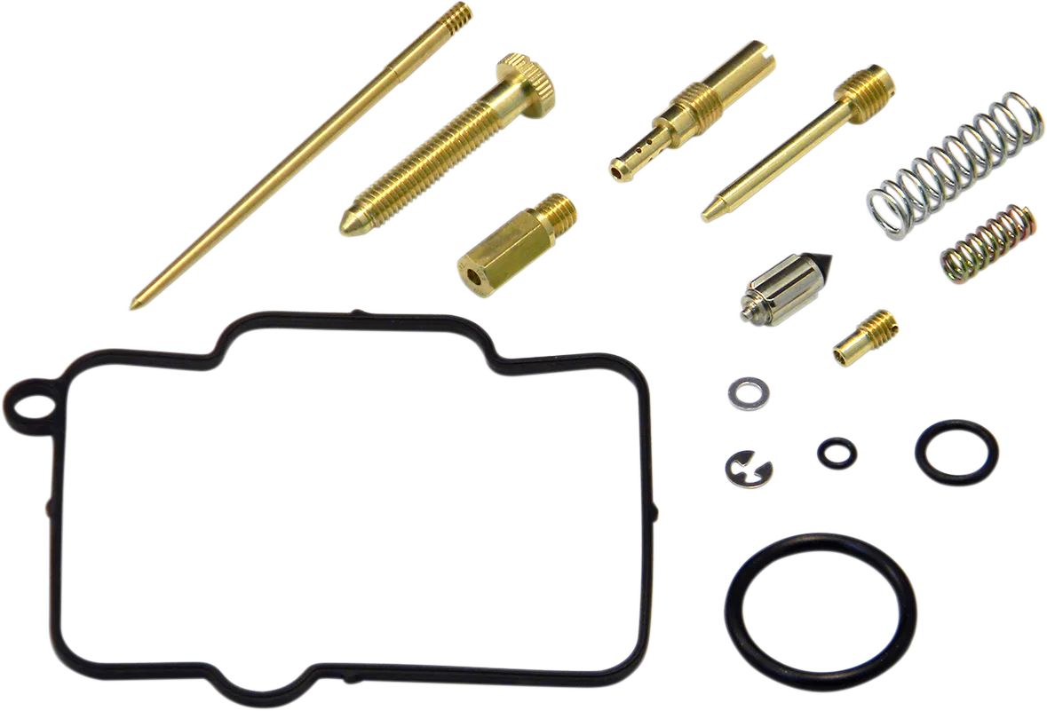 Carburetor Repair Kit