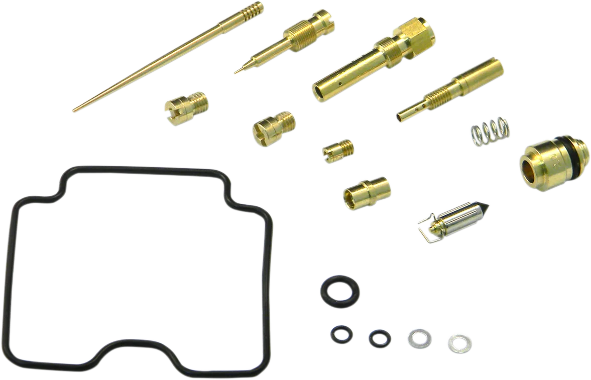 Carburetor Repair Kit