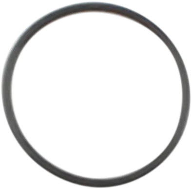 Starter O-Ring