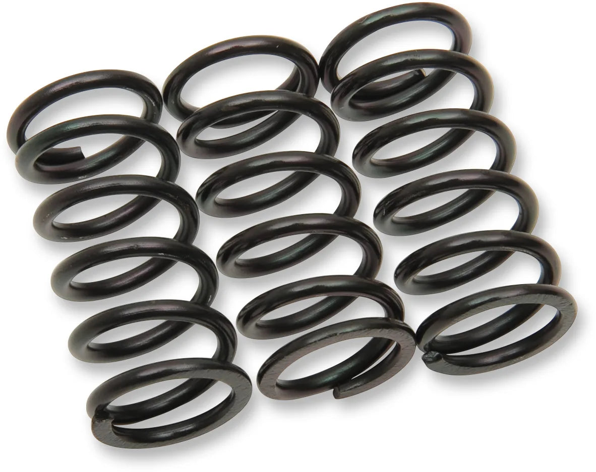 Clutch Spring Kit