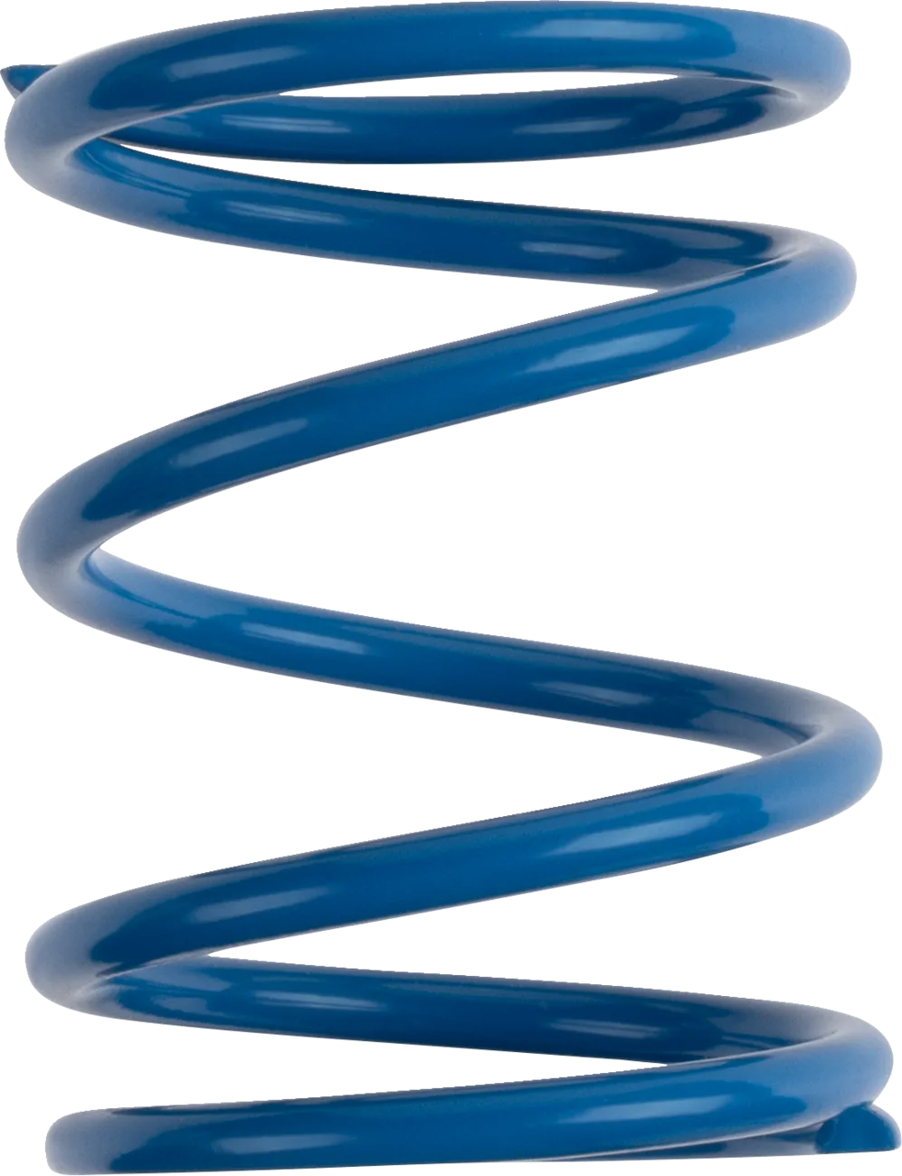 Polaris Primary Clutch Spring