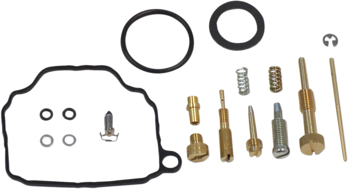 Carburetor Repair Kit