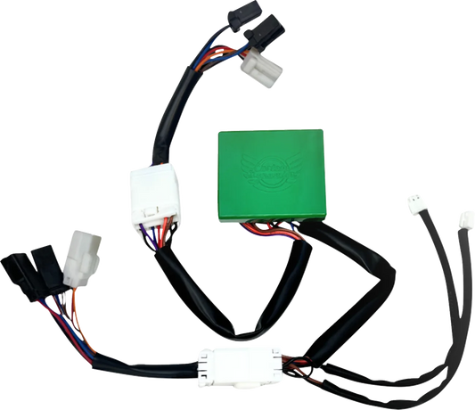SMART Triple Play® Module