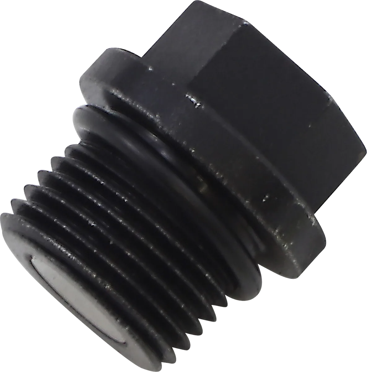 Transmission Drain Plug and O-Ring