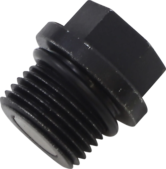 Transmission Drain Plug and O-Ring