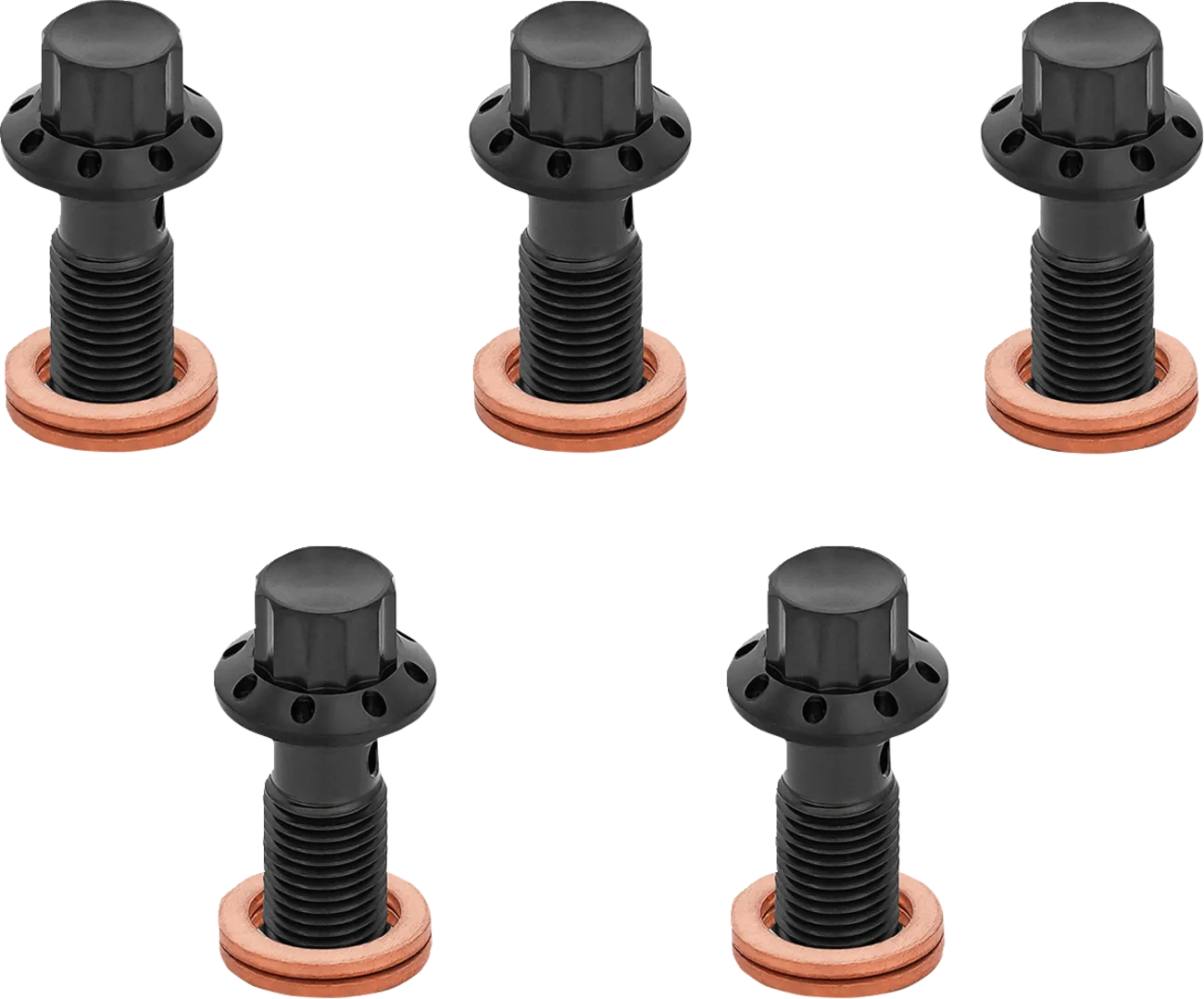 12-Point Titanium Banjo Bolts