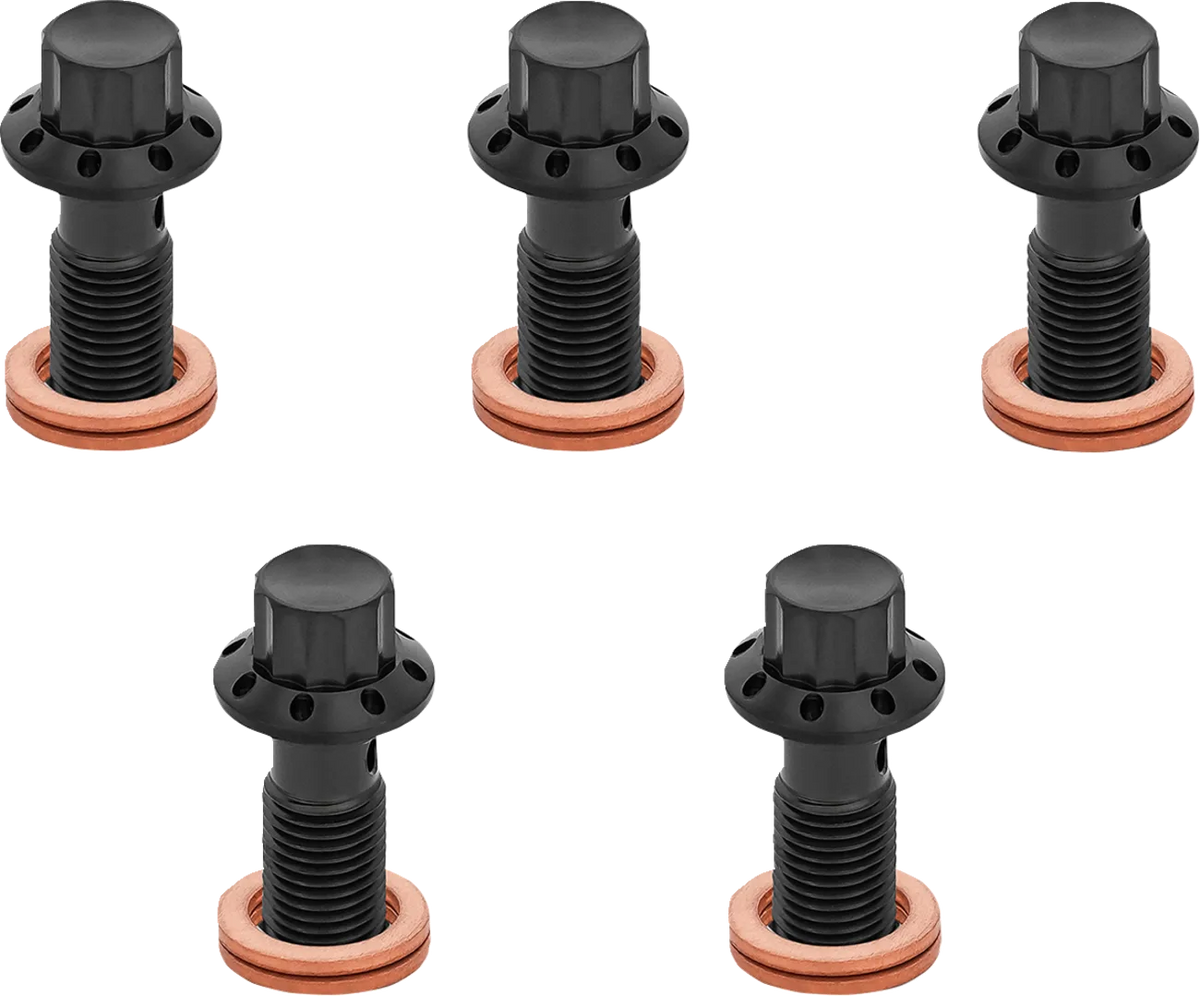 12-Point Titanium Banjo Bolts