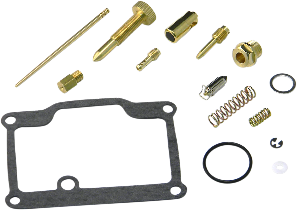 Carburetor Repair Kit
