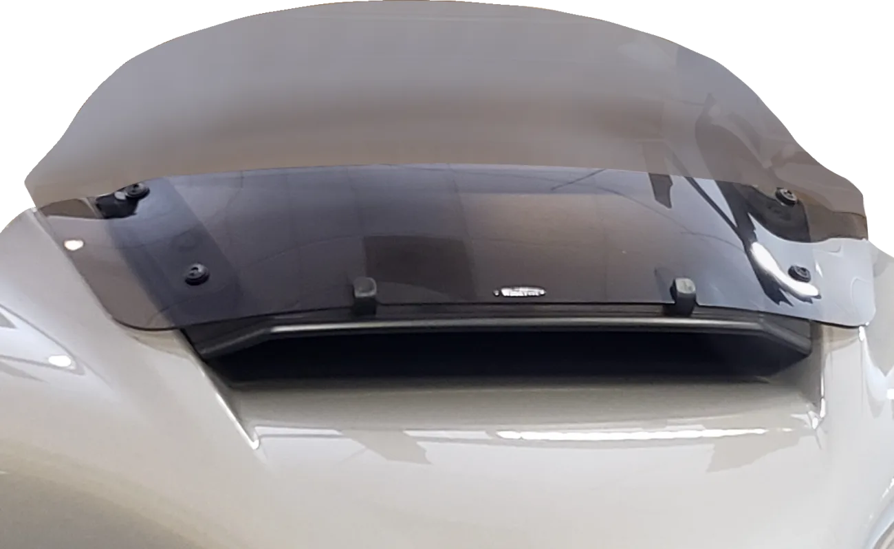 Windshield