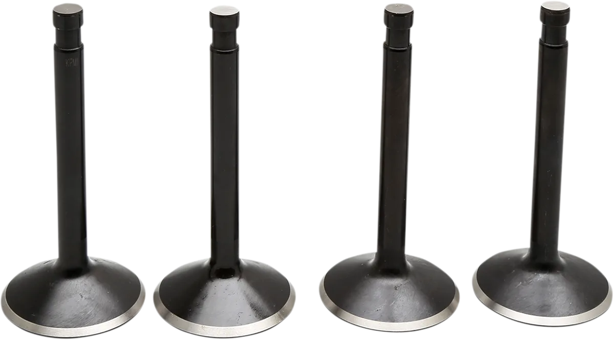 Black Diamond™ Engine Valve Kit