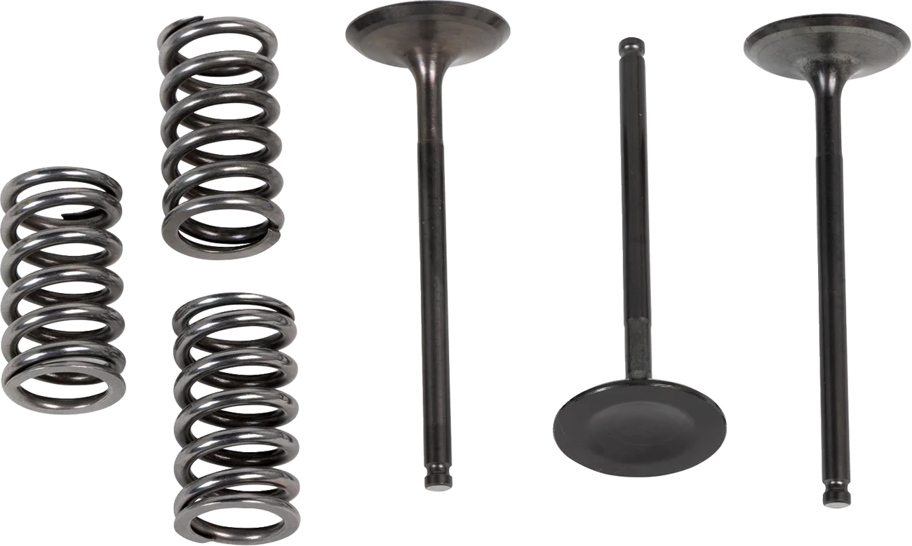 Valve and Spring Kit