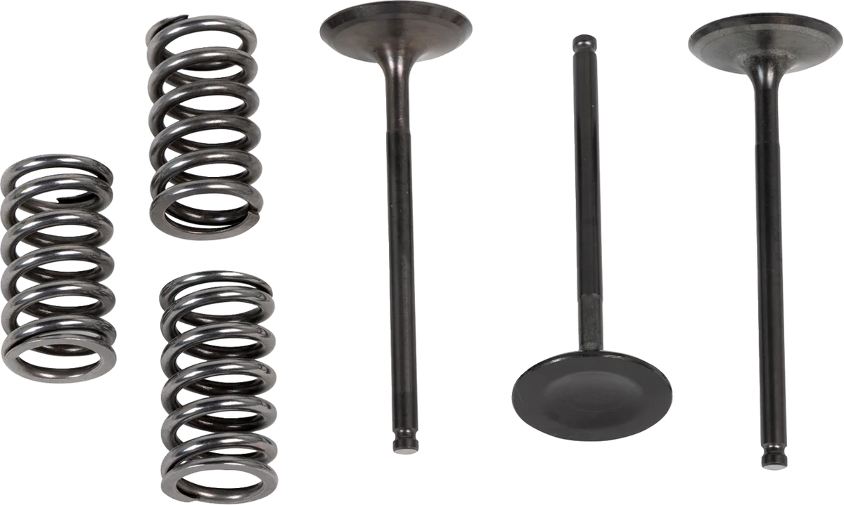 Valve and Spring Kit