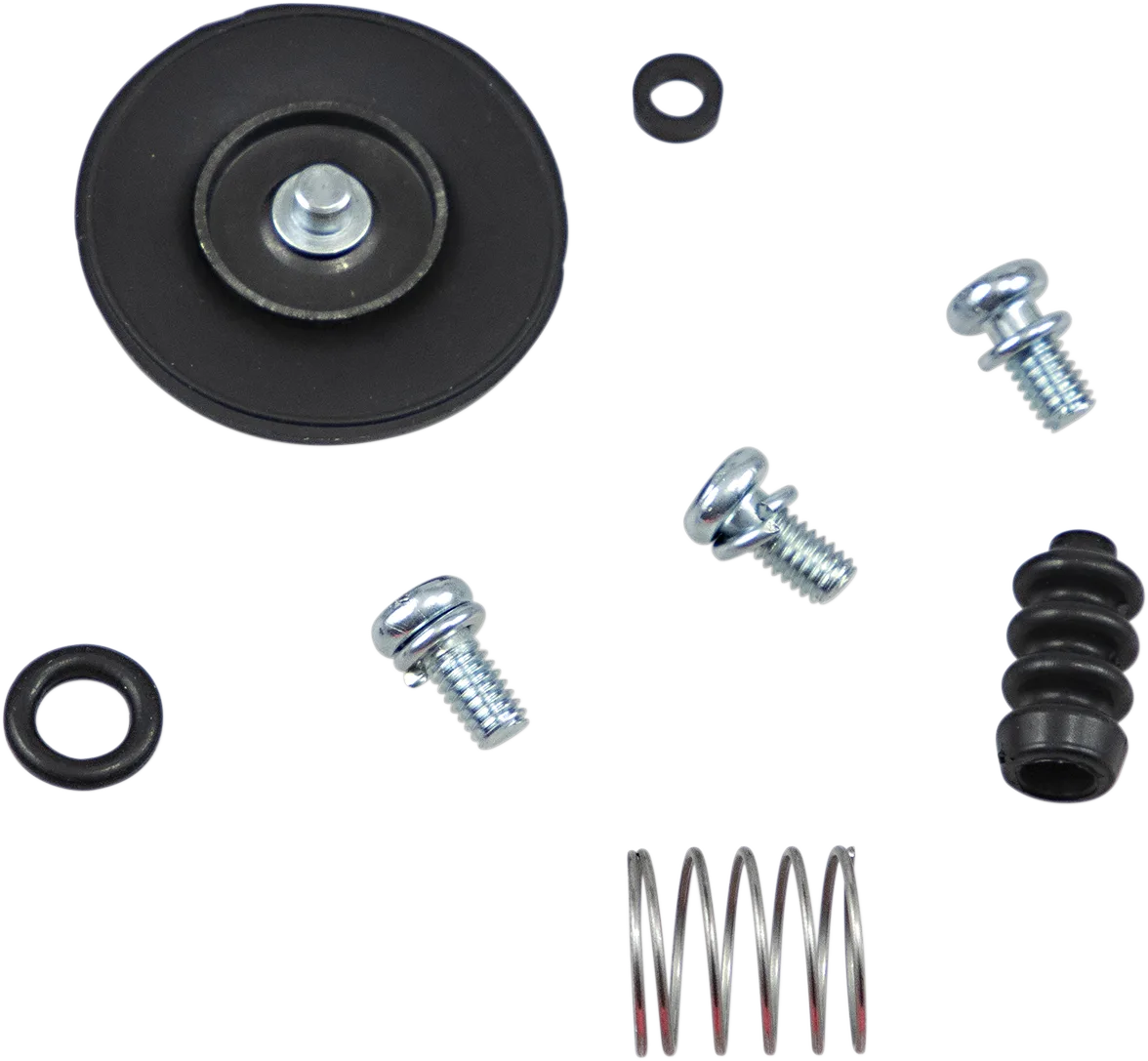 Accelerator Pump Rebuild Kit