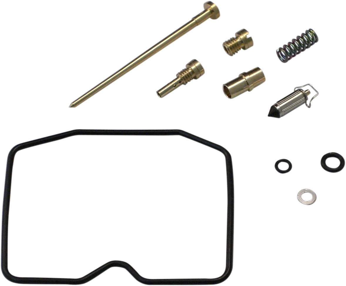 Carburetor Repair Kit