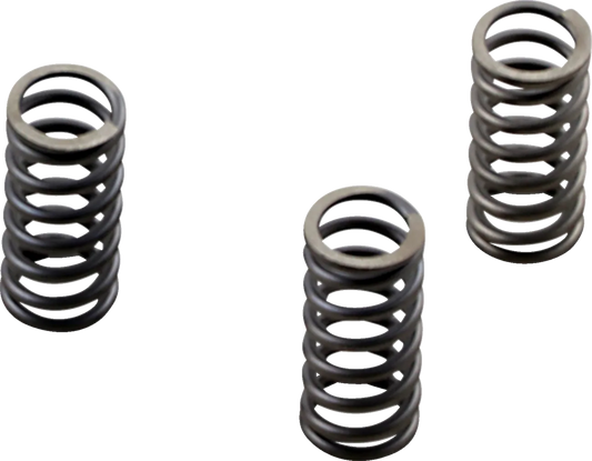 CSK Series Heavy Duty Clutch Spring Kit