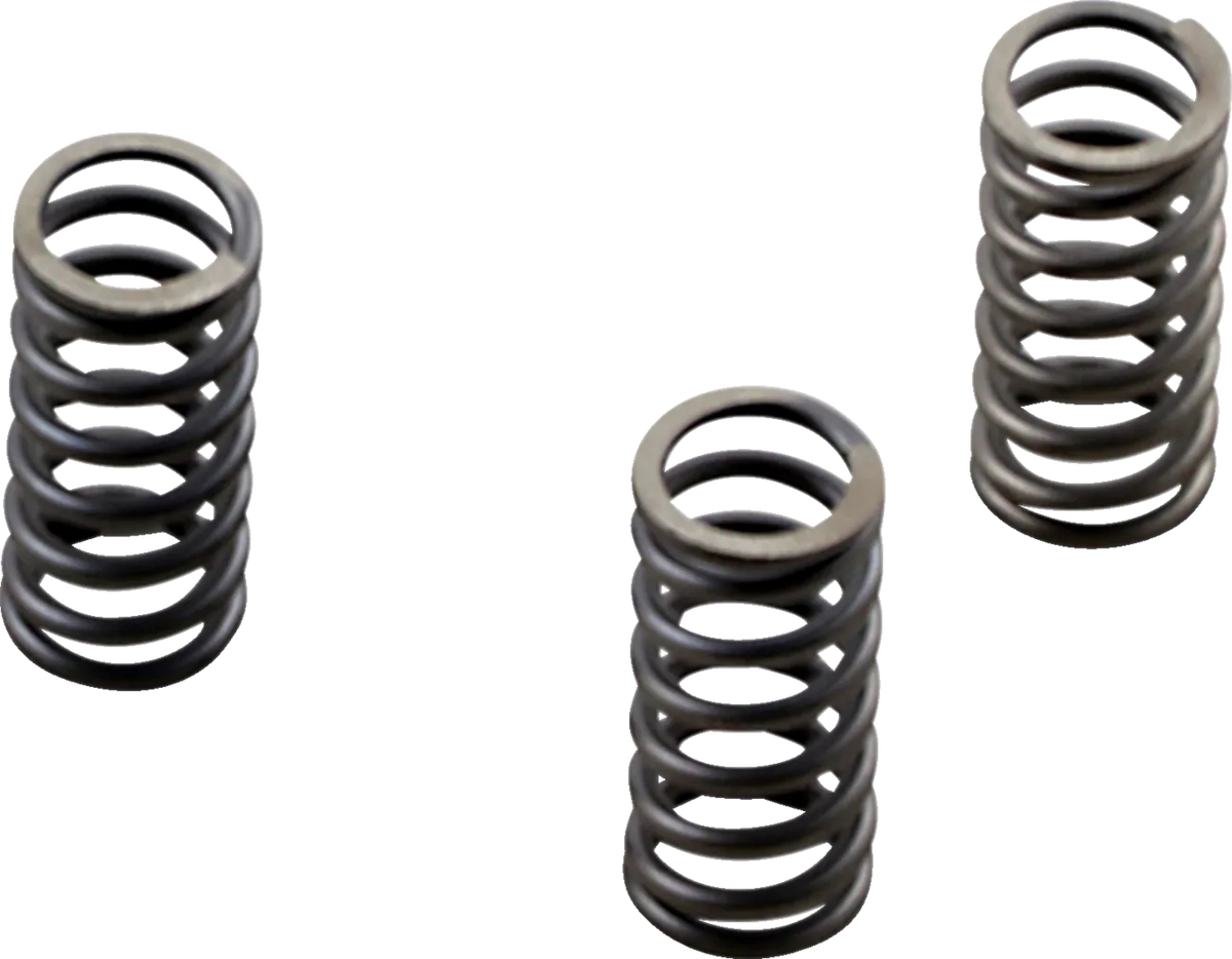 CSK Series Heavy Duty Clutch Spring Kit