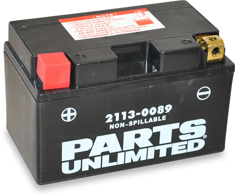 Factory-Activated AGM Maintenance-Free Battery