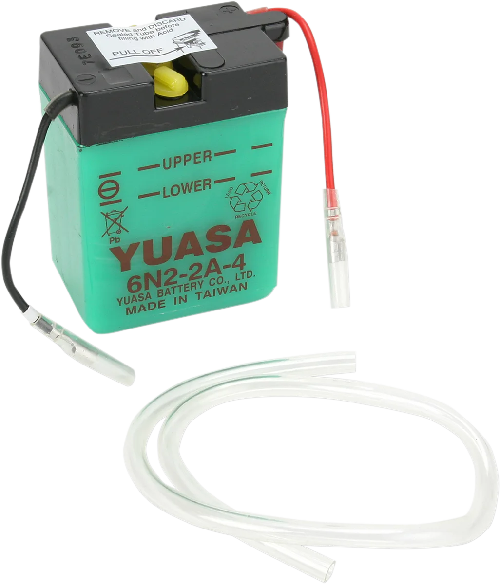 Conventional Battery — 6 V