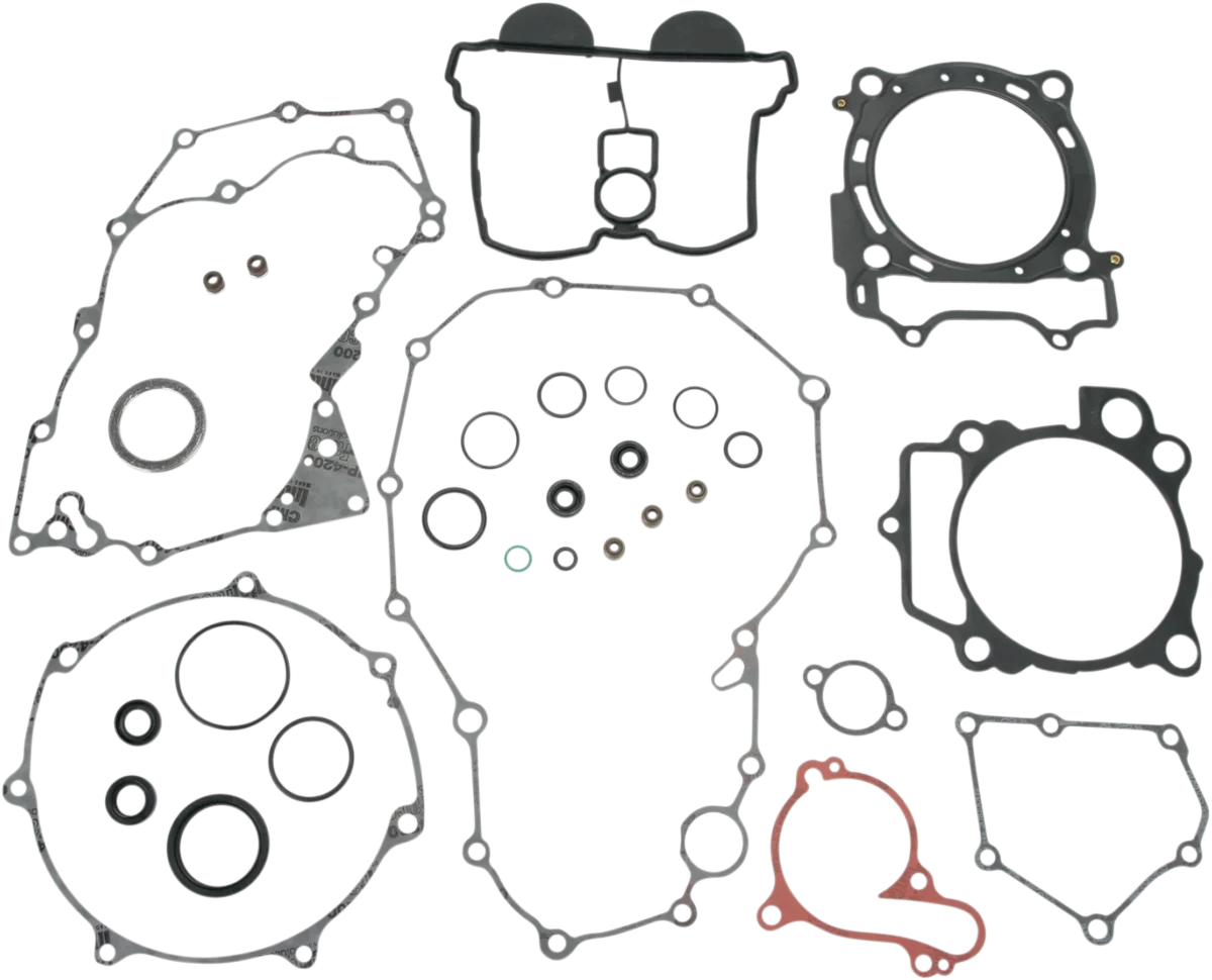 Complete Gasket and Oil Seal Kit