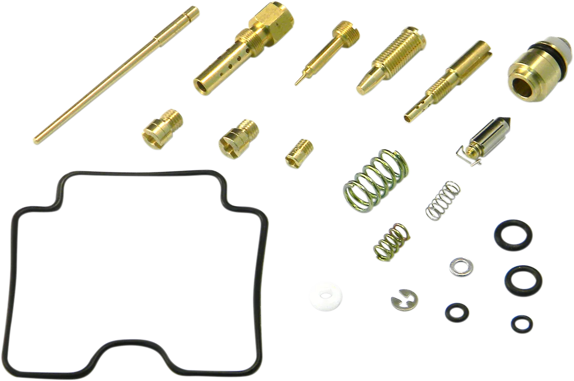 Carburetor Repair Kit