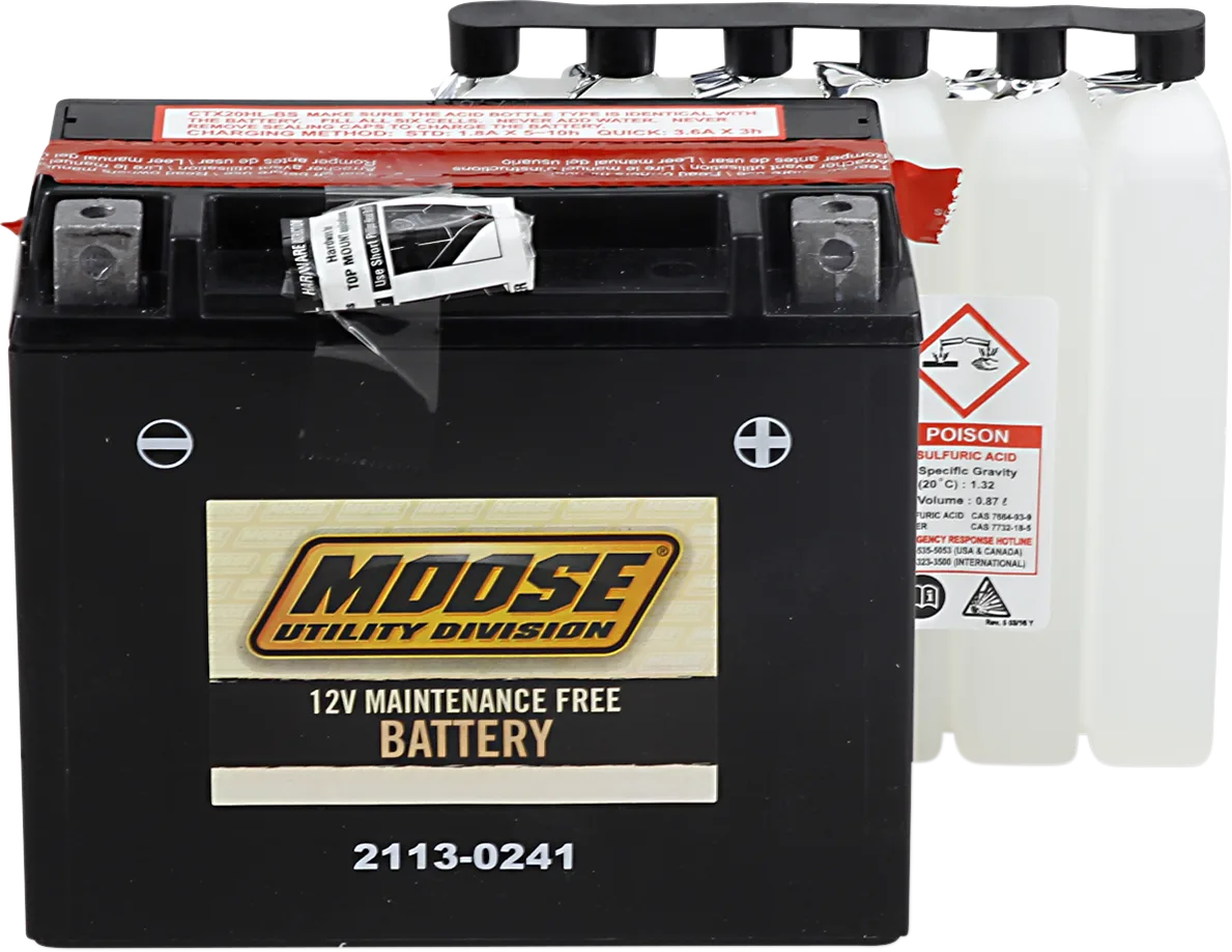 AGM Maintenance-Free Battery