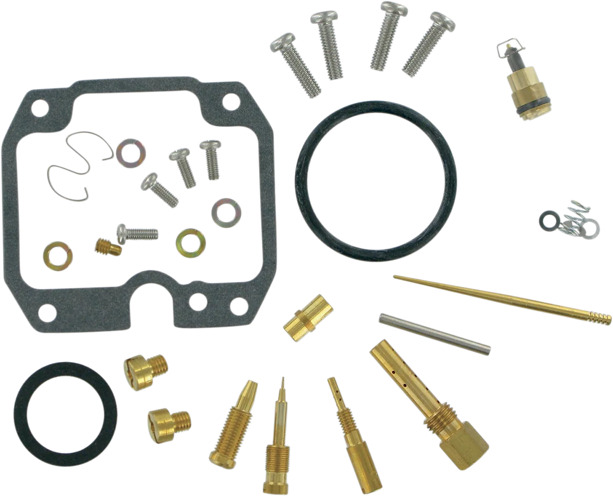 Carburetor Repair Kit