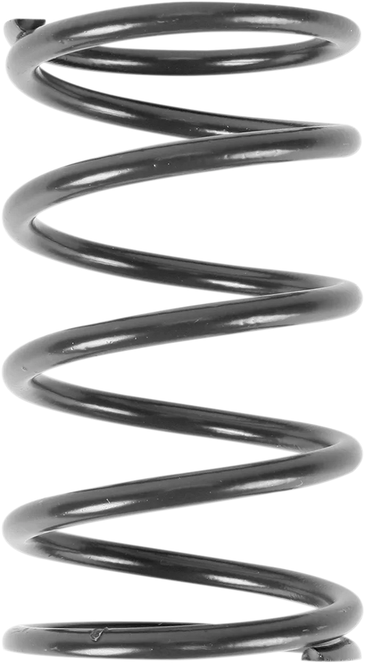 Primary Clutch Spring Polaris