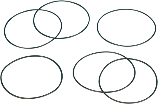 Turn Signal O-Ring