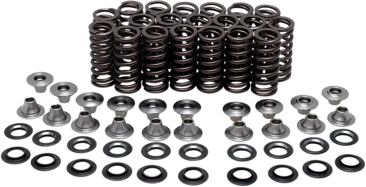 Valve Spring Kit