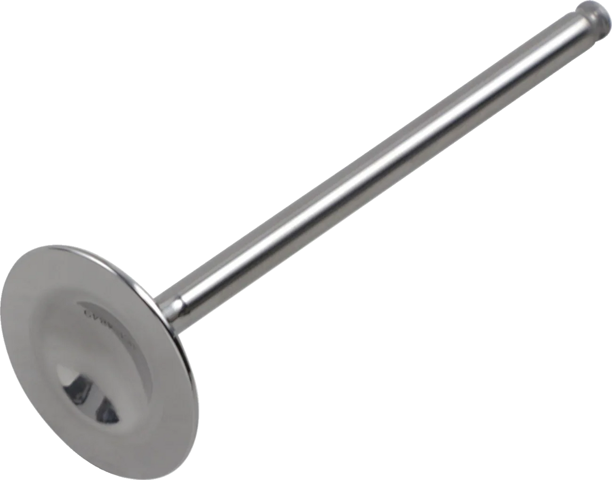 Titanium Engine Valve