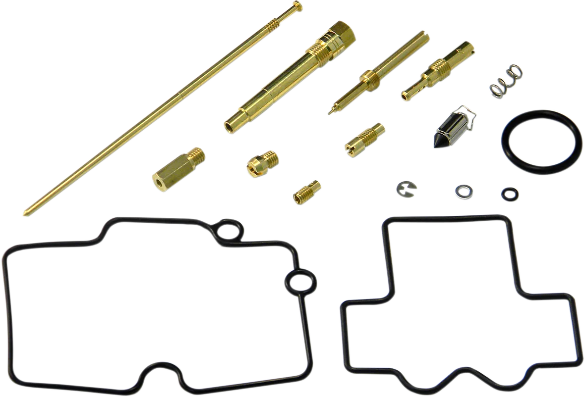 Carburetor Repair Kit