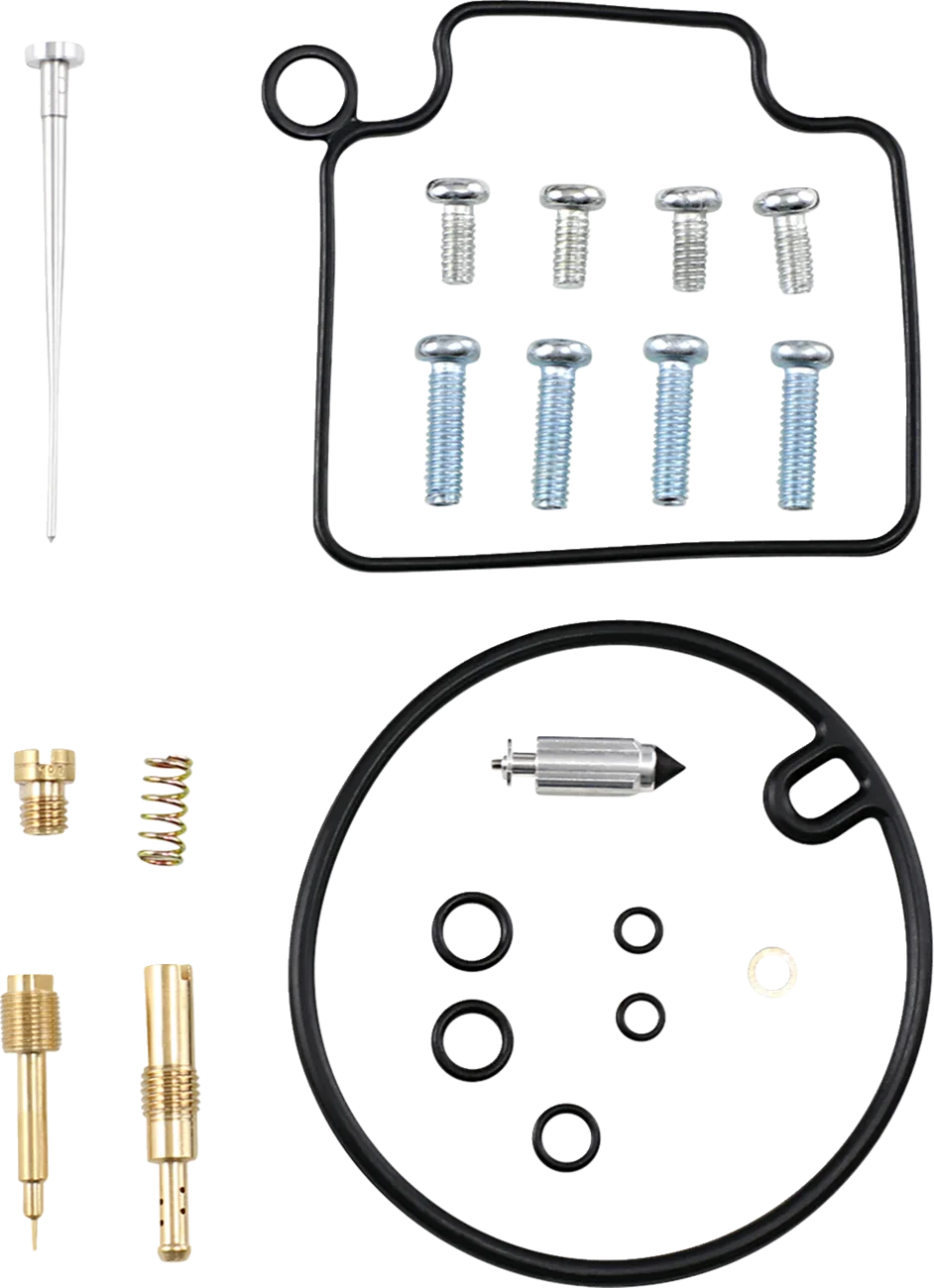 Carburetor Repair Kit