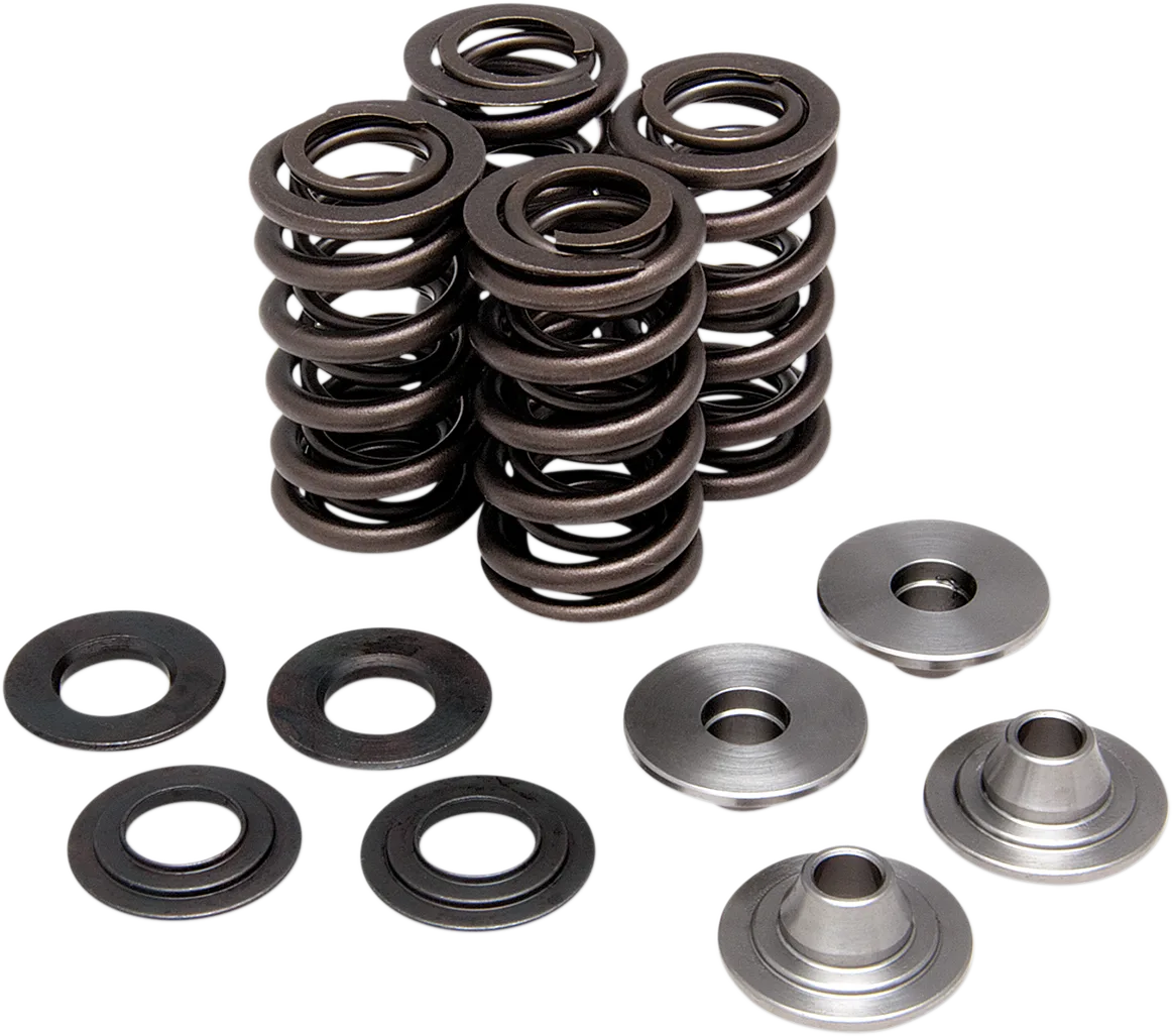 Lightweight Racing Valve Spring Kit