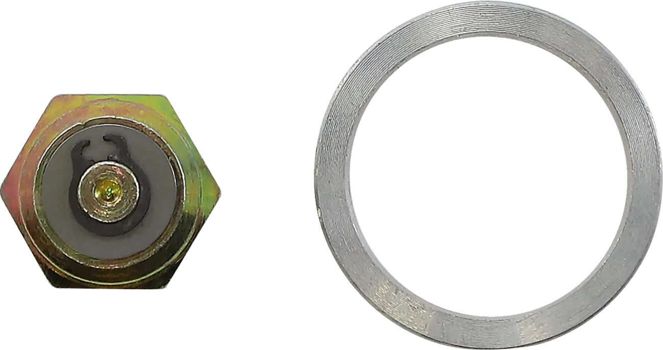 Shock Check Valve