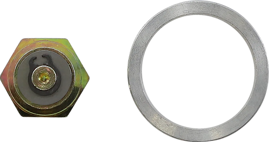 Shock Check Valve