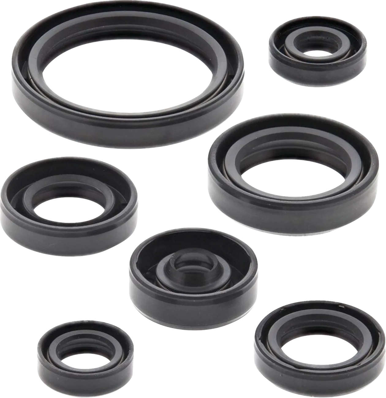 Oil Seal Set