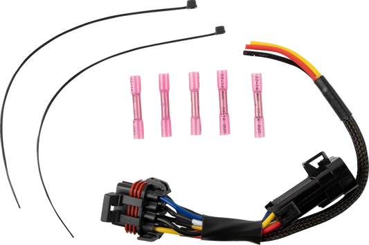 Whip Light Power Adapter