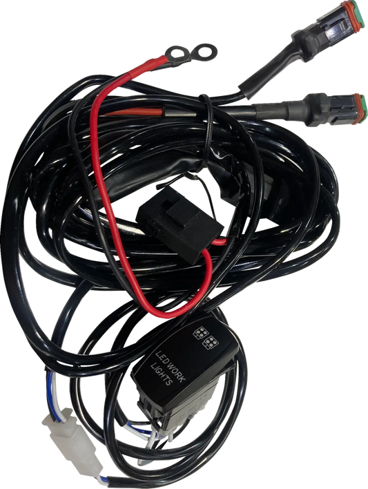 Rocker Switch Harness