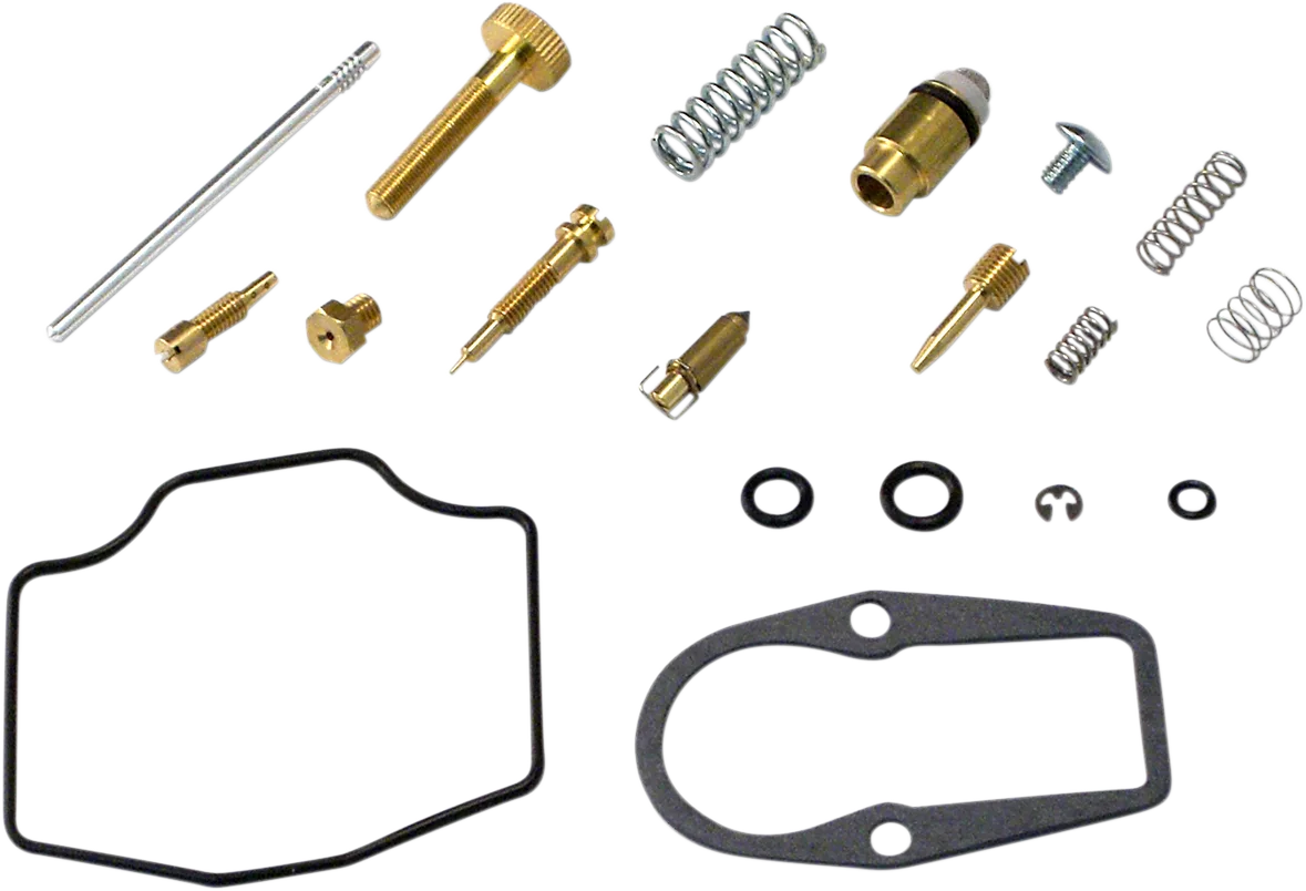 Carburetor Repair Kit