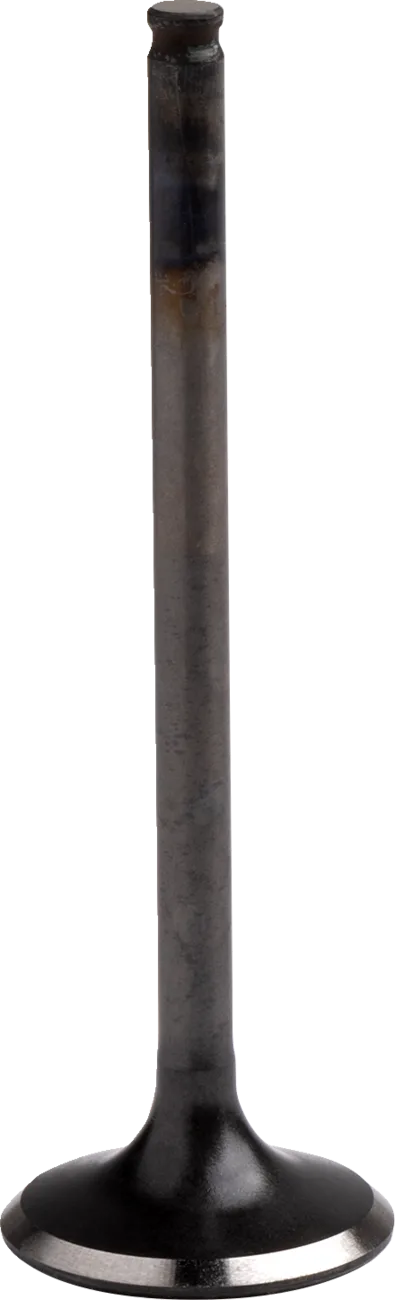 Engine Valve