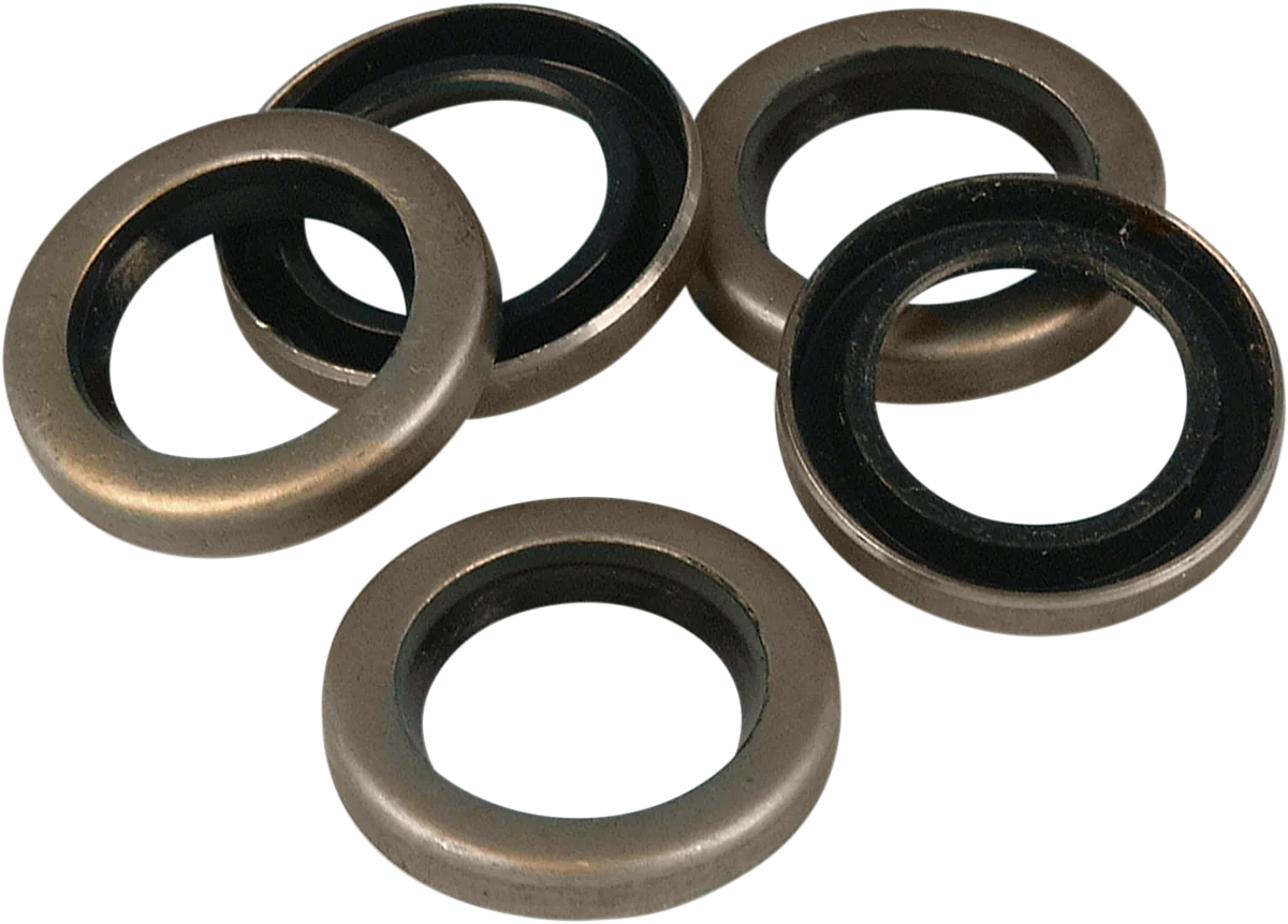Starter O-Ring