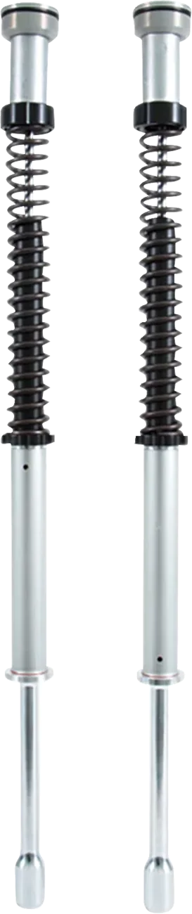 Fork Cartridge Kit