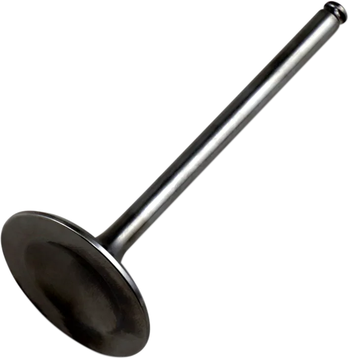Replacement Valve